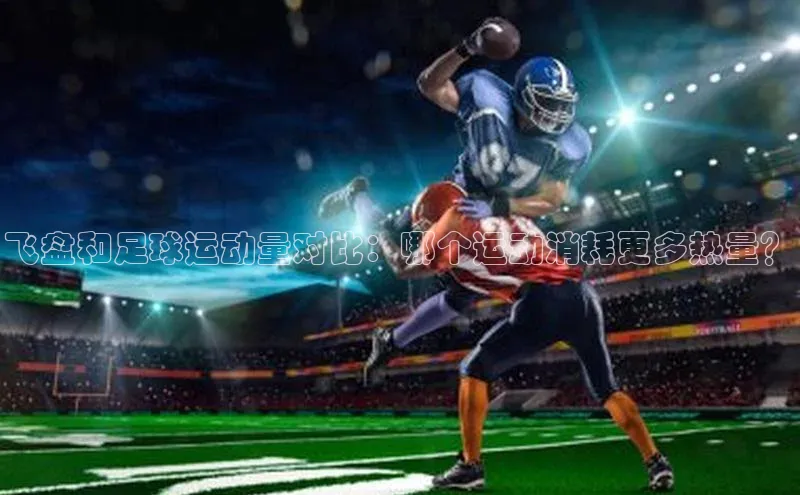 NG28·南宫体育度小满理财飞盘和足球运动量对比：哪个运动消耗更多热量？