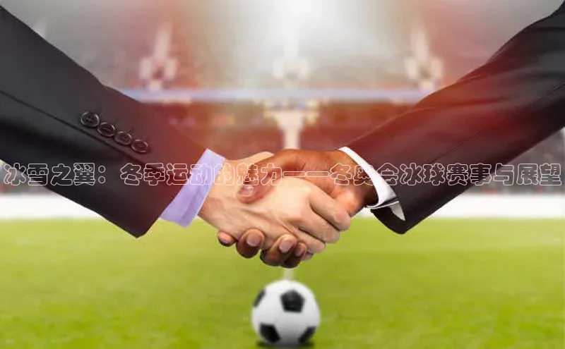 南宫体育百度取证冰雪之翼：冬季运动的魅力——冬奥会冰球赛事与展望