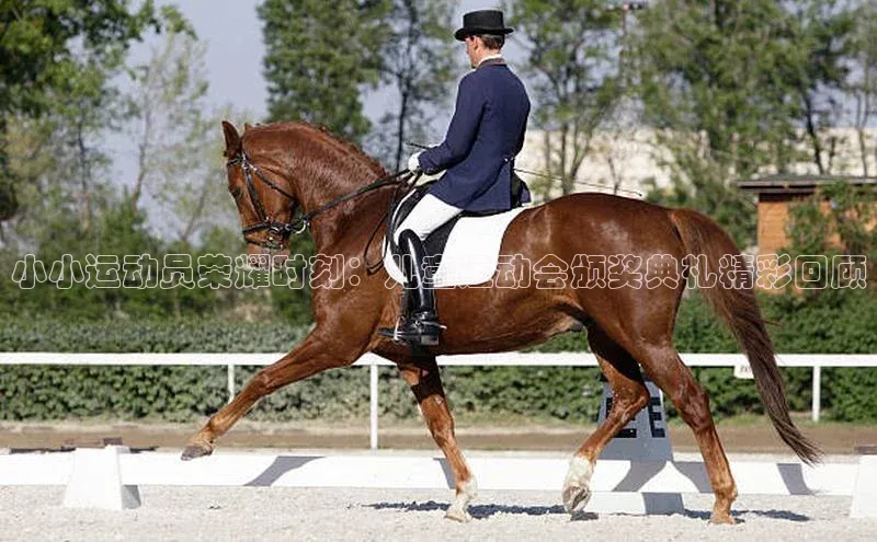 南宫NG28注册平台入口路畅科技小小运动员荣耀时刻：儿童运动会颁奖典礼精彩回顾