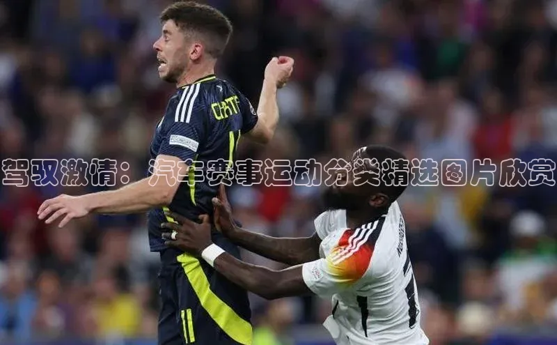 南宫ng注册百度教育驾驭激情：汽车赛事运动分类精选图片欣赏