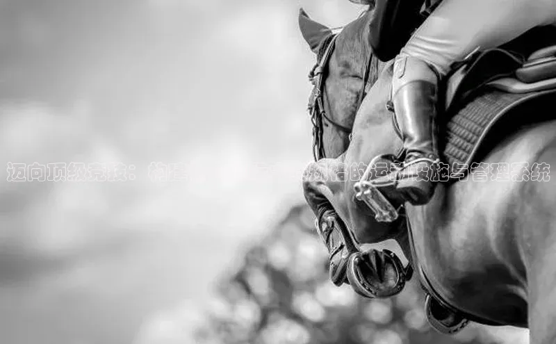 迈向顶级竞技：构建符合国际大赛规格的运动设施与管理系统