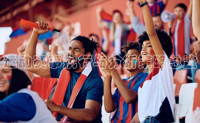 运动赛事执行与分析策略总监