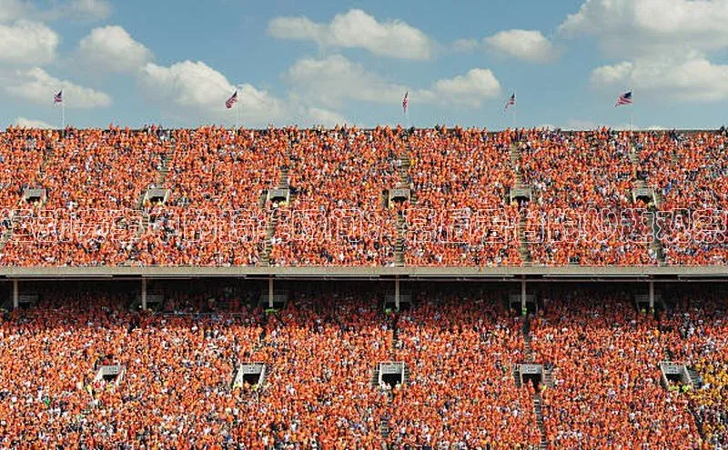 运动赛事中的搞笑瞬间：幕后看台的妙趣观察