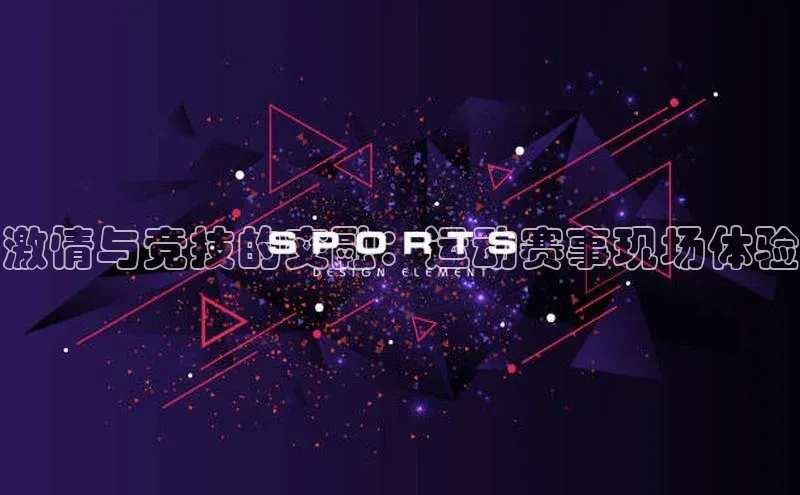 激情与竞技的交融：运动赛事现场体验