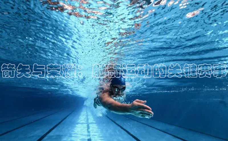 箭矢与荣耀：射箭运动的关键赛事