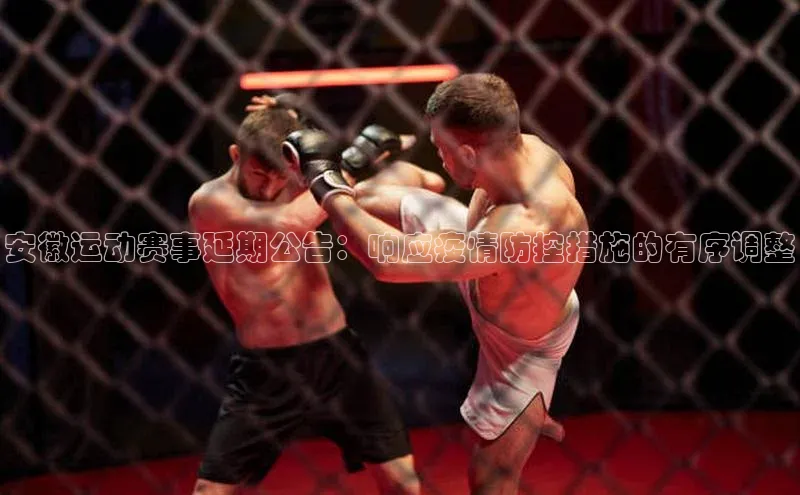 安徽运动赛事延期公告：响应疫情防控措施的有序调整