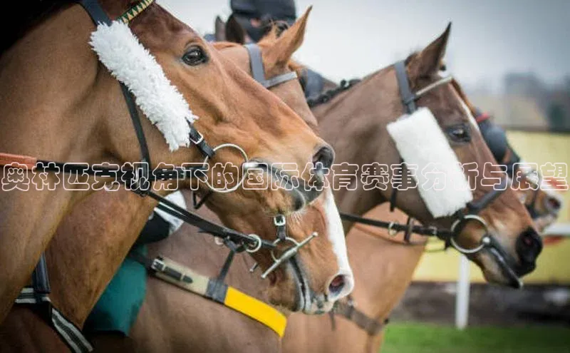 奥林匹克视角下的国际体育赛事分析与展望