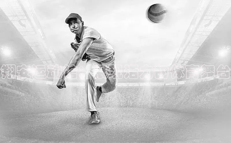 翔安运动馆：展现活力的体育舞台