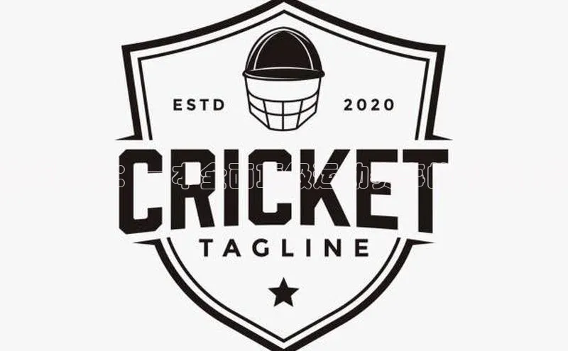 冠军之路：一本全面顶级运动赛事的书籍推荐