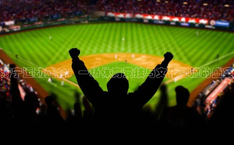 海宁运动盛会：一场体育竞技与文化交流的盛宴