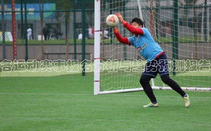 各运动赛事报名分析与趋势预测报告