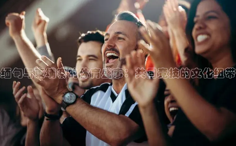 南宫28娱乐官网版下载