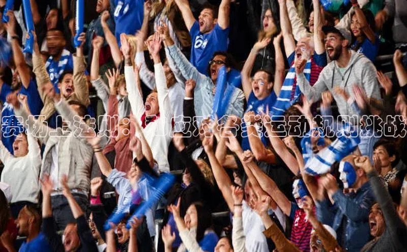 赛场上法则：和应对各类运动规则挑战