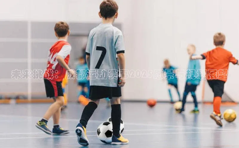 未来挑战：成都运动赛事2025愿景与规划展望