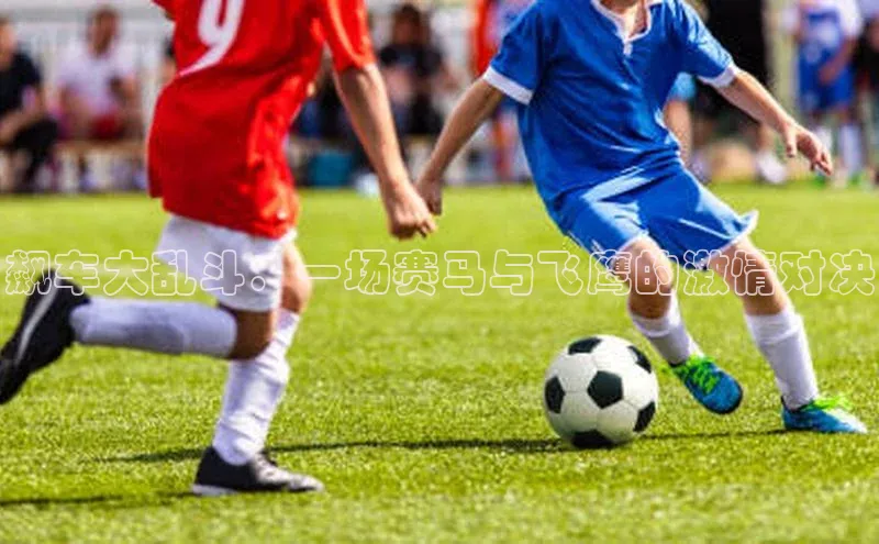 飙车大乱斗：一场赛马与飞鹰的激情对决