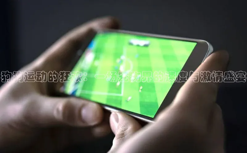 南宫app相信品牌的力量
